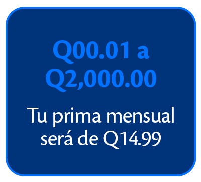 pleca