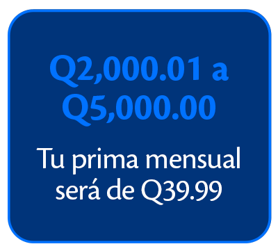 pleca