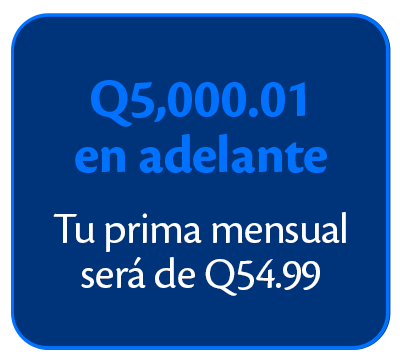 pleca