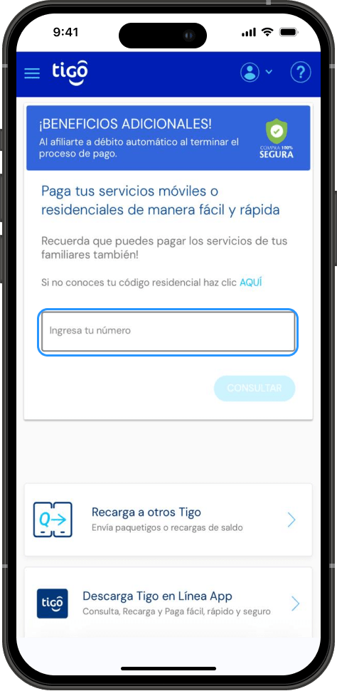 Paso 1 - Como pagar mi factura