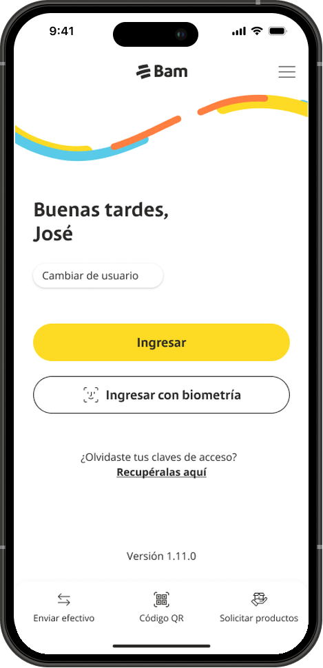 Paso 1: pantalla para iniciar sesión en Bamapp