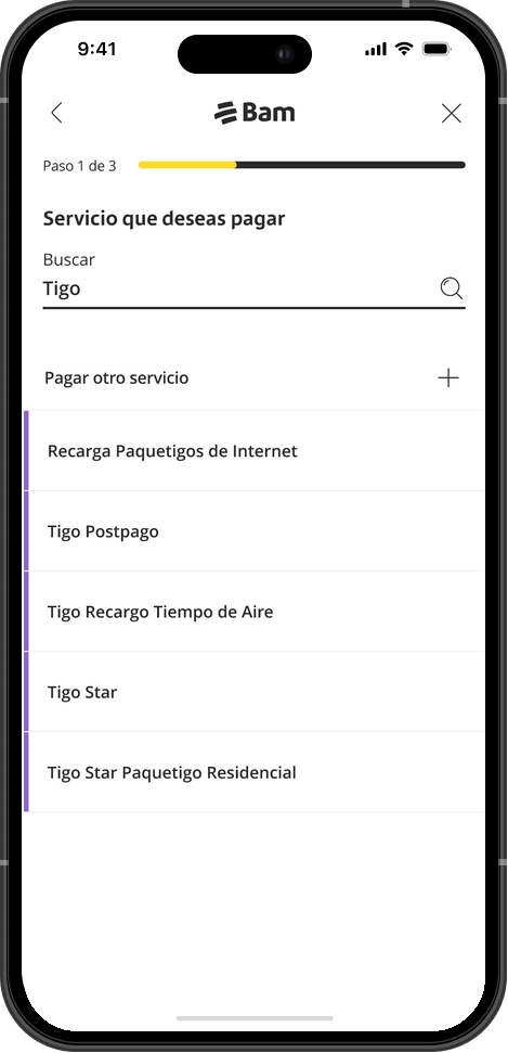 Paso 3: resultados de servicios Tigo y Recarga Paquetigos de Internet