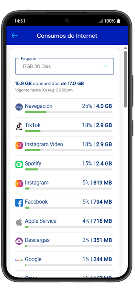 Paso 3 - Detalle de Consumos de Internet por aplicación