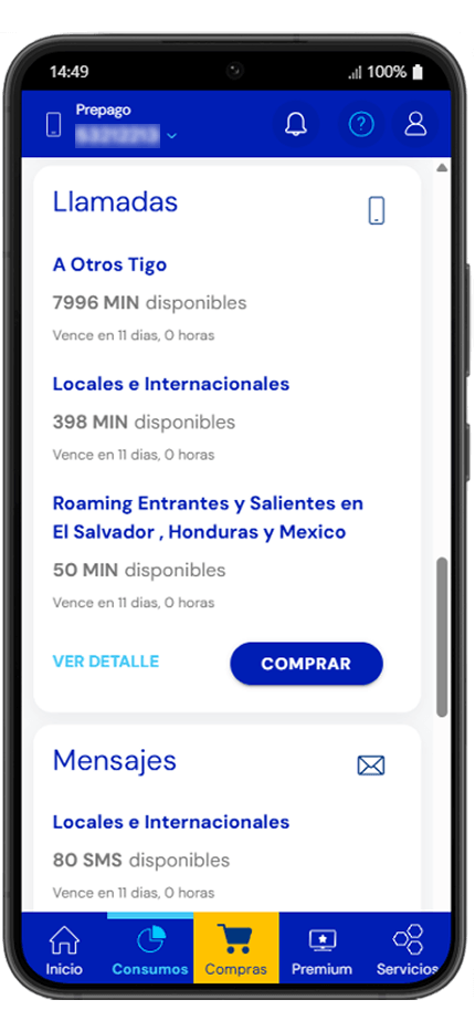 Paso 4 - Minutos y mensajes disponibles