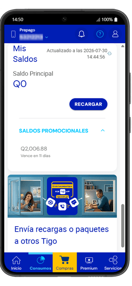 Paso 5 - Mis Saldos: saldo principal y saldos promocionales