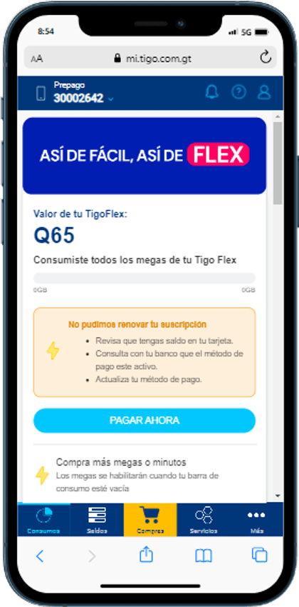 Paso 5 - Alerta de renovación fallida con el botón PAGAR AHORA