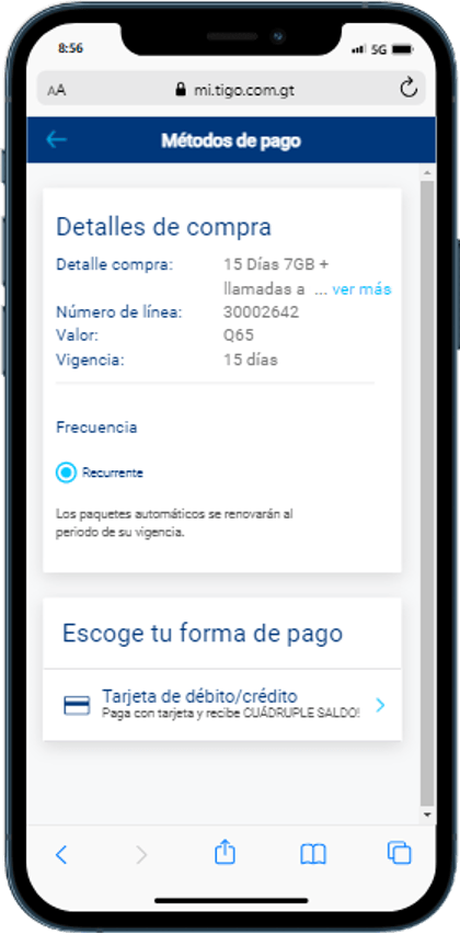 Paso 4 - Confirmación del pago de la renovación